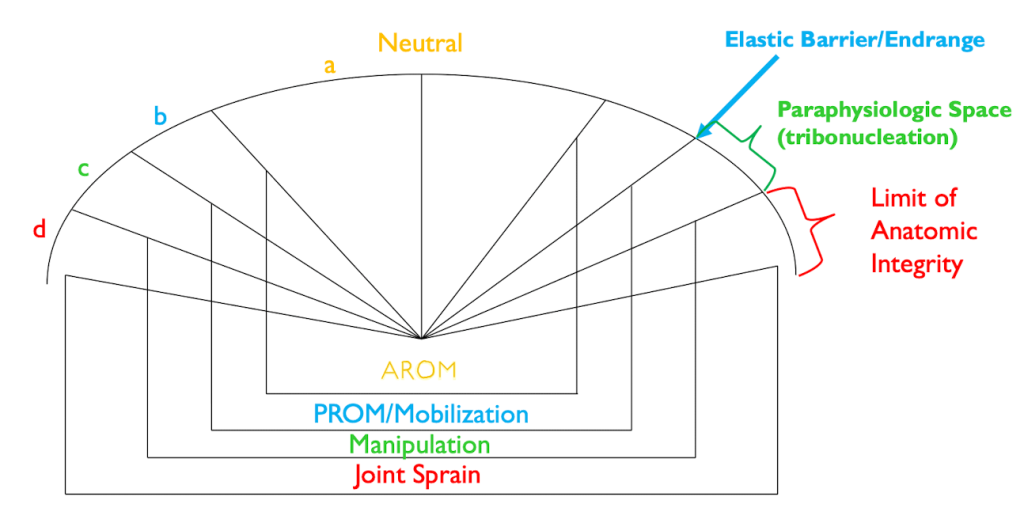 Chiropractic Adjustment