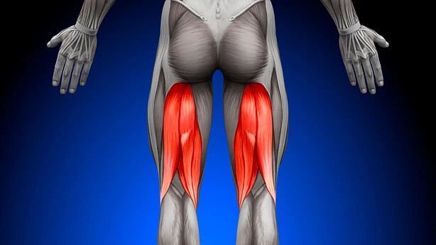 Tendinopathy