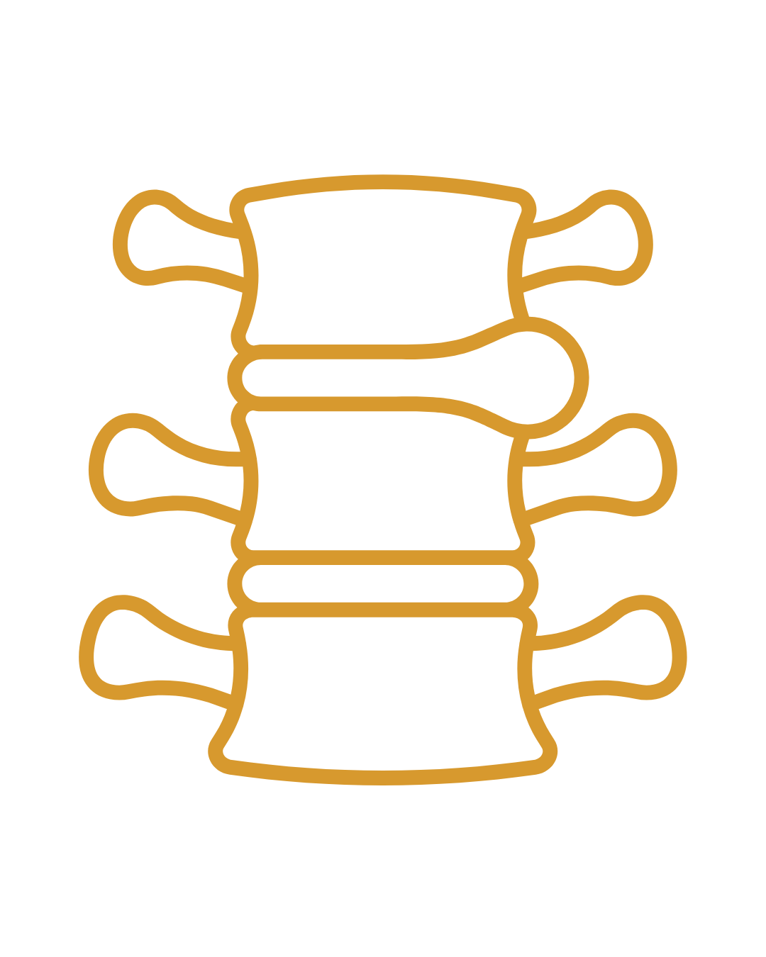 Disc Herniation icon Disc Herniation