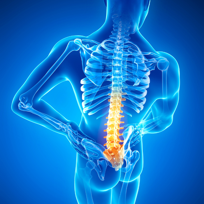 Lower Back Pain 2 Lower Back Pain 2
