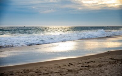 Chiropractor in Newport Beach